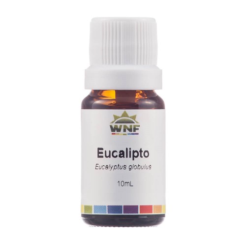 Óleo Essencial Natural de Eucalipto Glóbulus 10ml – WNF