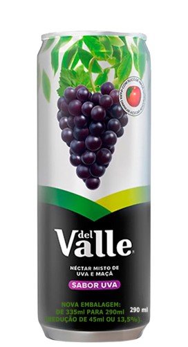 Suco Del Valle Néctar Uva 290ml