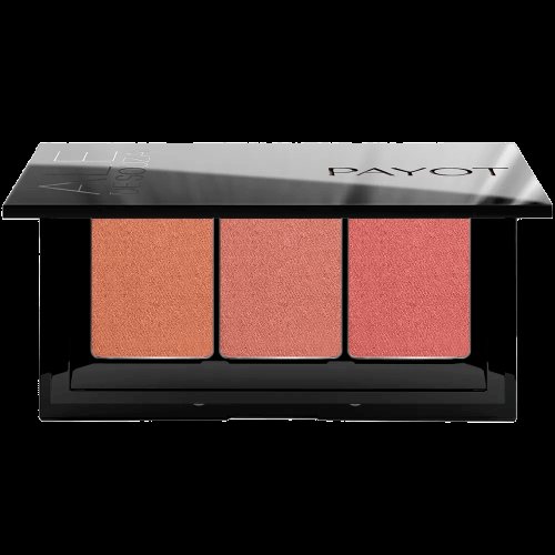 Payot By Ale de Souza MultiEffect - Paleta de Iluminadores 3 em 1