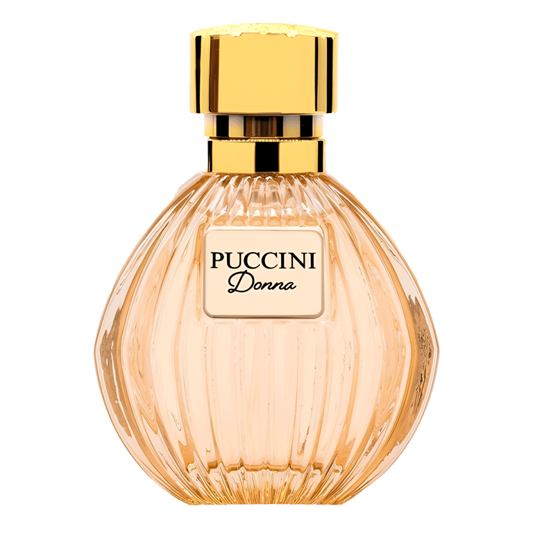 Perfume Feminino Puccini Donna Paris Nude Eau De Parfum 100ml