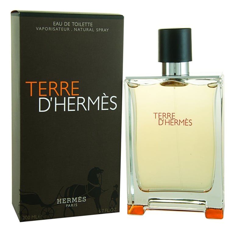 Terre D'hermés Eau De Toilette Perfume Masculino 100 Ml