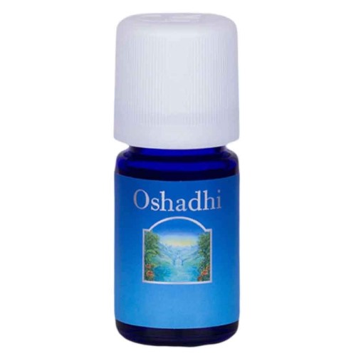 Óleo Essencial de Alecrim Orgânico qt. Cineol 5ml Oshadhi