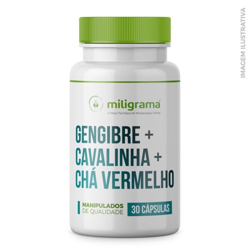 Gengibre 300mg + Cavalinha 100mg + Chá Vermelho 200mg 30 Cápsulas