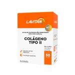 Suplemento Alimentar Lavitan Colágeno Tipo II 30 Cápsulas