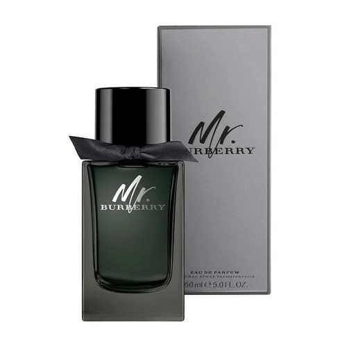 Perfume Mr Burberry Eau De Parfum Masculino 100 ml