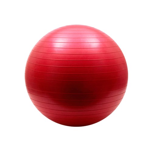 Fisioball Orthopauher Fg-20 55cm