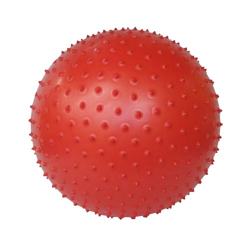 Fisioball Orthopauher Fg-21 55cm