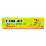 Fenaflan Emulgel 11,6mg/g 60g