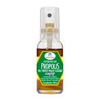 Spray para Garganta Extrato de Própolis Apis Vida Sabor Gengibre 30ml