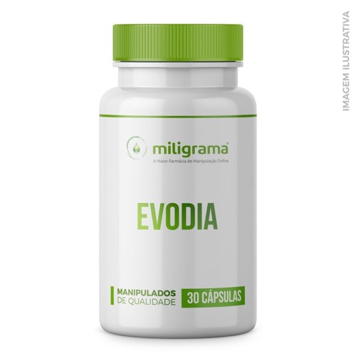 Evodia Extrato Seco 30mg 30 Cápsulas