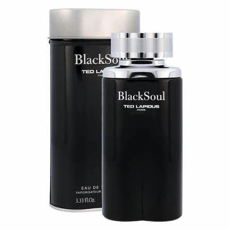 Perfume Black Soul De Ted Lapidus Eau De Toilette Masculino 100 ml